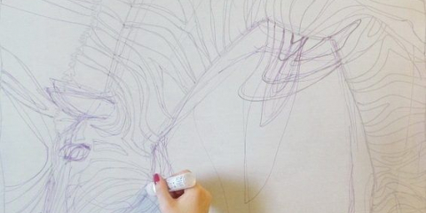 Malba na hedvábí zebra mistrovská třída